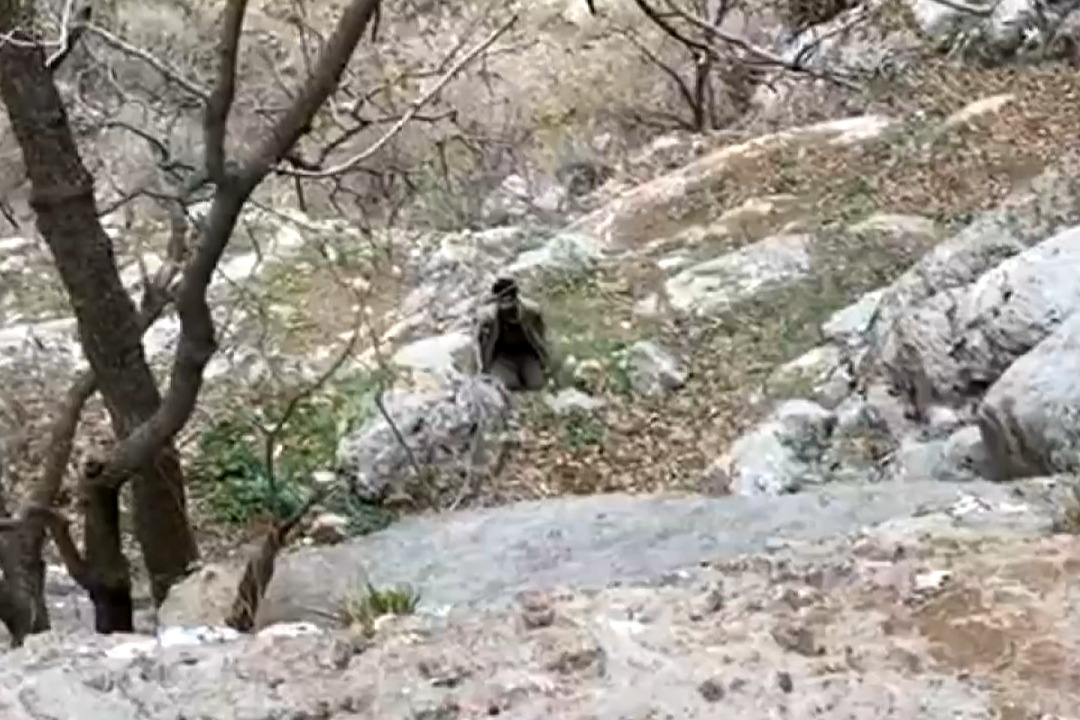 PKK/YPG'li terörist böyle teslim oldu