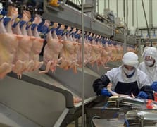 Beyaz et devlerine rekor ceza! Rekabet Kurulu faturayı kesti