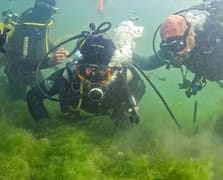 İzmit Körfezi temizlik çalışmalarının güncel durumu