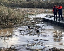 İzmir Foça'da selde kaybolan Bülent Kaptanoğlu'nun cenazesine ulaşıldı