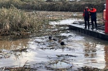 İzmir Foça'da selde kaybolan Bülent Kaptanoğlu'nun cenazesine ulaşıldı