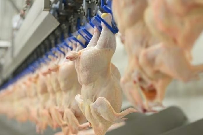 Piliç etinde tarihi ceza: Rekabet Kurulu’ndan 3.7 milyar TL para cezası!