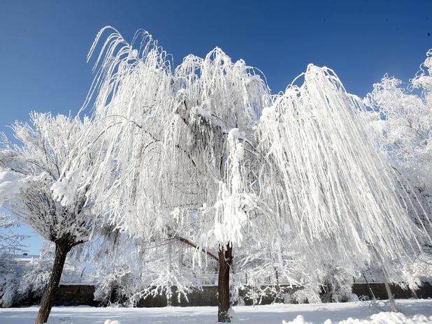 45 il için sarı kodlu uyarı! Kar ve fırtına Türkiye'yi etkisi altına alıyor