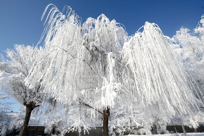 45 il için sarı kodlu uyarı! Kar ve fırtına Türkiye'yi etkisi altına alıyor