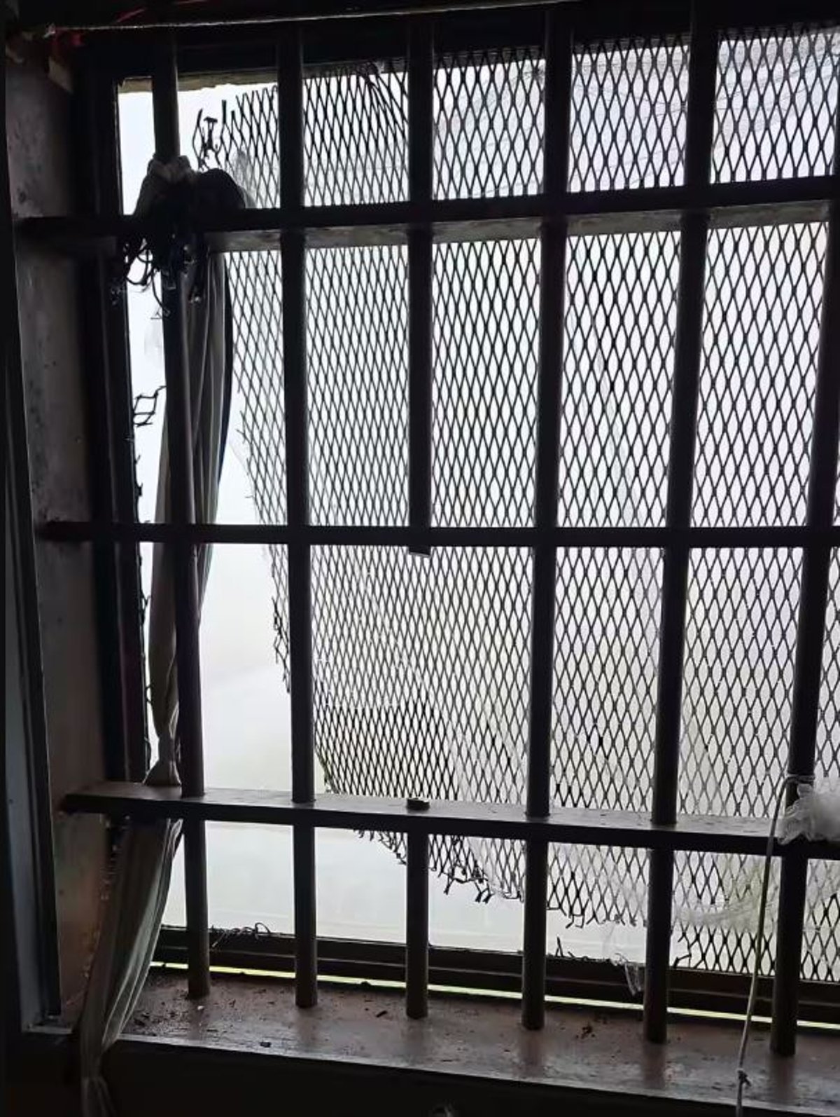 Toma demir parmaklıkları keserek firar etti - Panorama