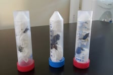 Doğa Koruma ve Milli Parklar biyokaçakçılıkla mücadele ediyor