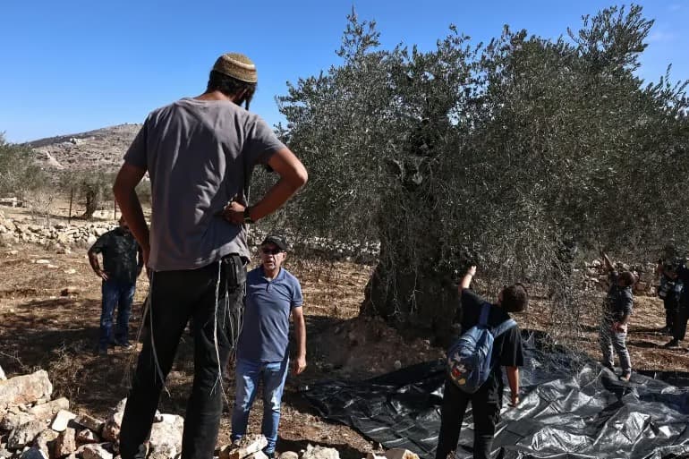 Yahudi yerleşimciler Filistinlilerin koyunlarını çaldı