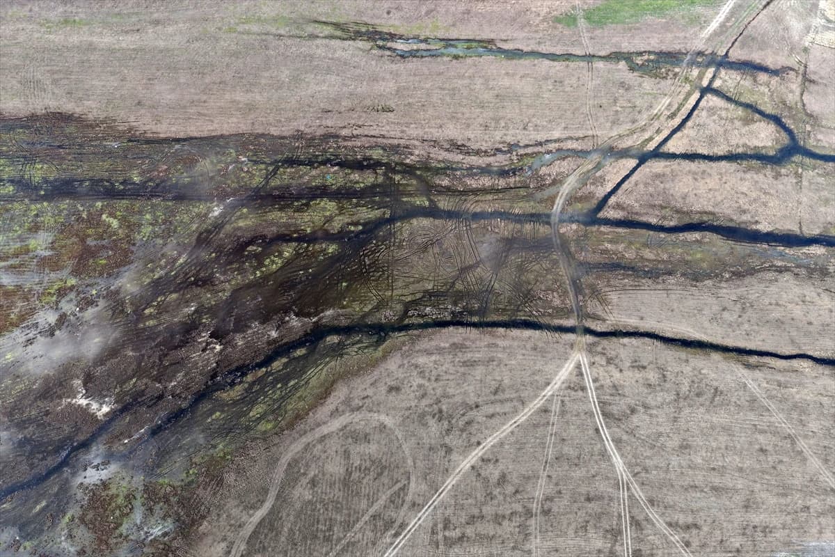 Manisa'daki Demirköprü Barajı yosunla kaplandı