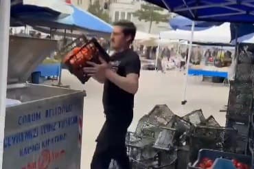 Çöpe domates döken pazarcıya rekor ceza!