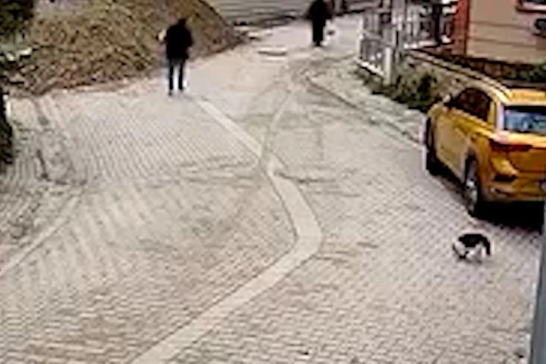 Yolda yürürken rögara düştü
