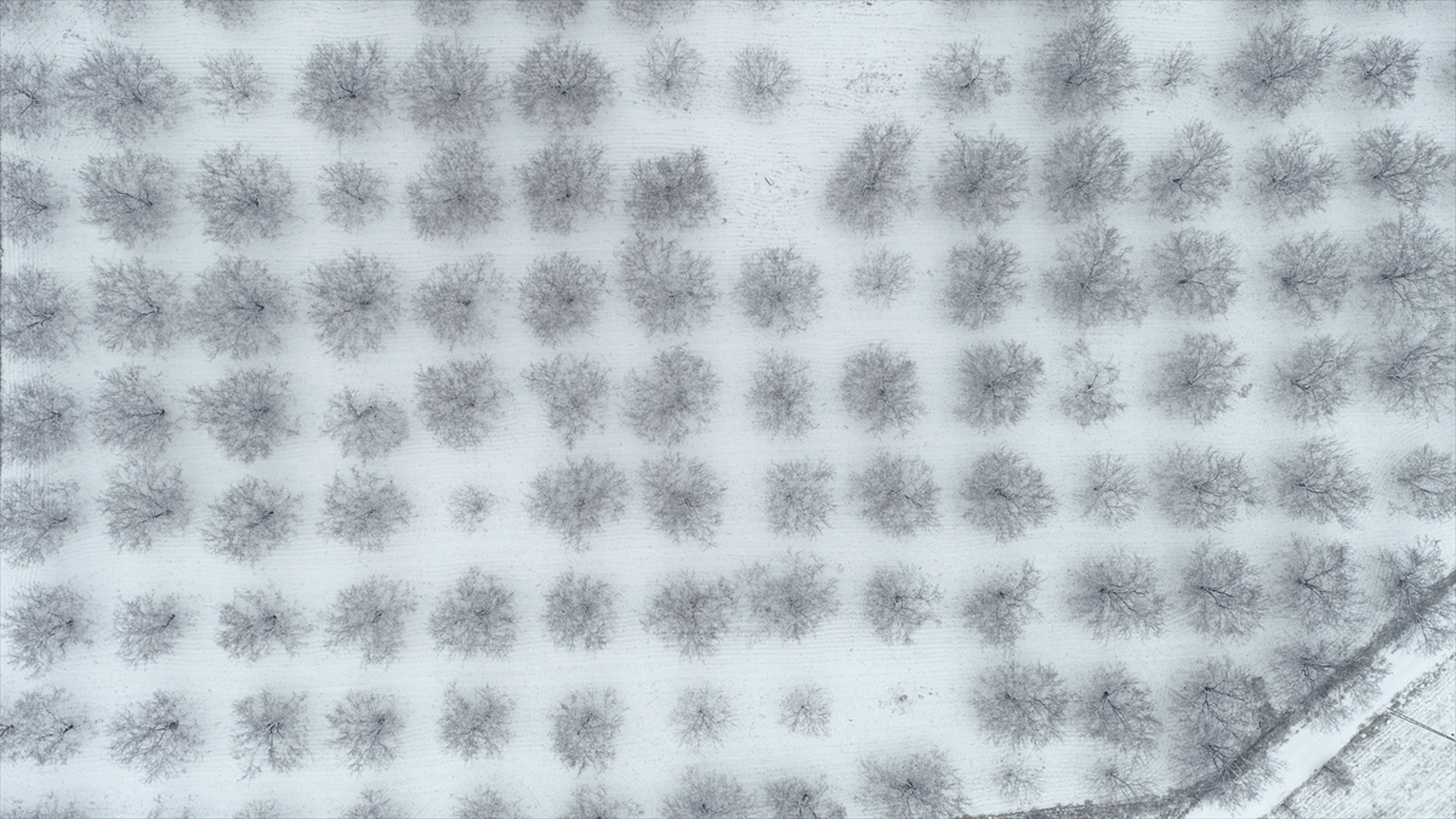 Galeri Fotoğrafı