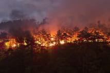 Türkiye yangınlarla boğuşuyor: Dört ilde mücadele devam ediyor
