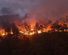 Türkiye yangınlarla boğuşuyor: Dört ilde mücadele devam ediyor