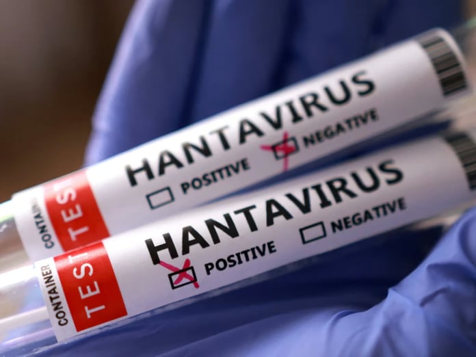 Hantavirüs İsrail'e sıçradı: İlk vaka doğrulandı