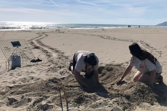 Akdeniz'de gece bu sahillere girenler 557 bin lira ceza ödeyecek
