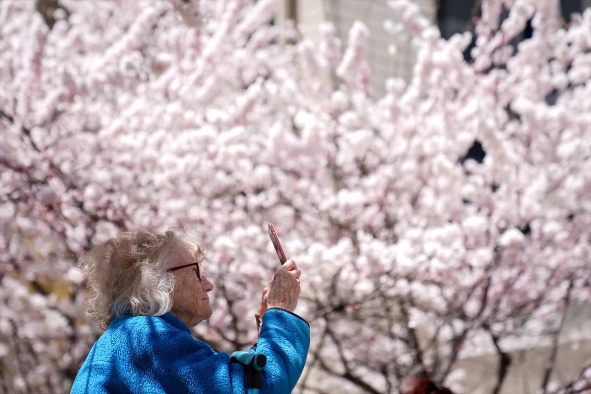 Toronto'da Japon esintisi | Dört bir yanı sardılar...