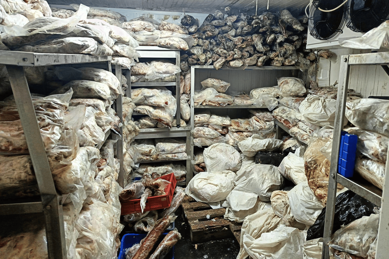 Tonlarca bozuk et ele geçirildi, devlet cezayı kesti!
