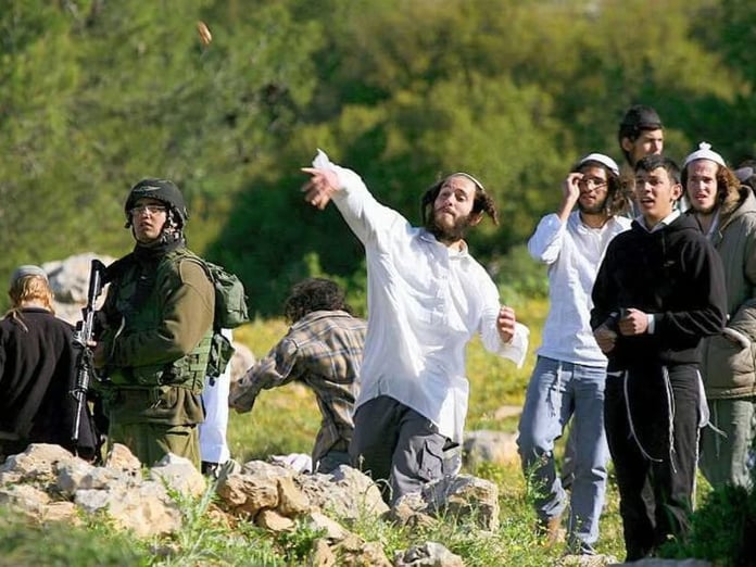 Yahudi işgalciler Filistinlilerin koyunlarını çaldı
