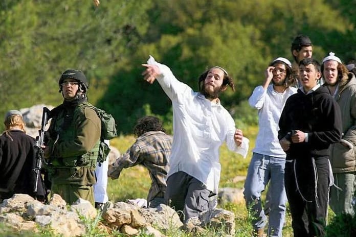 Yahudi işgalciler Filistinlilerin koyunlarını çaldı