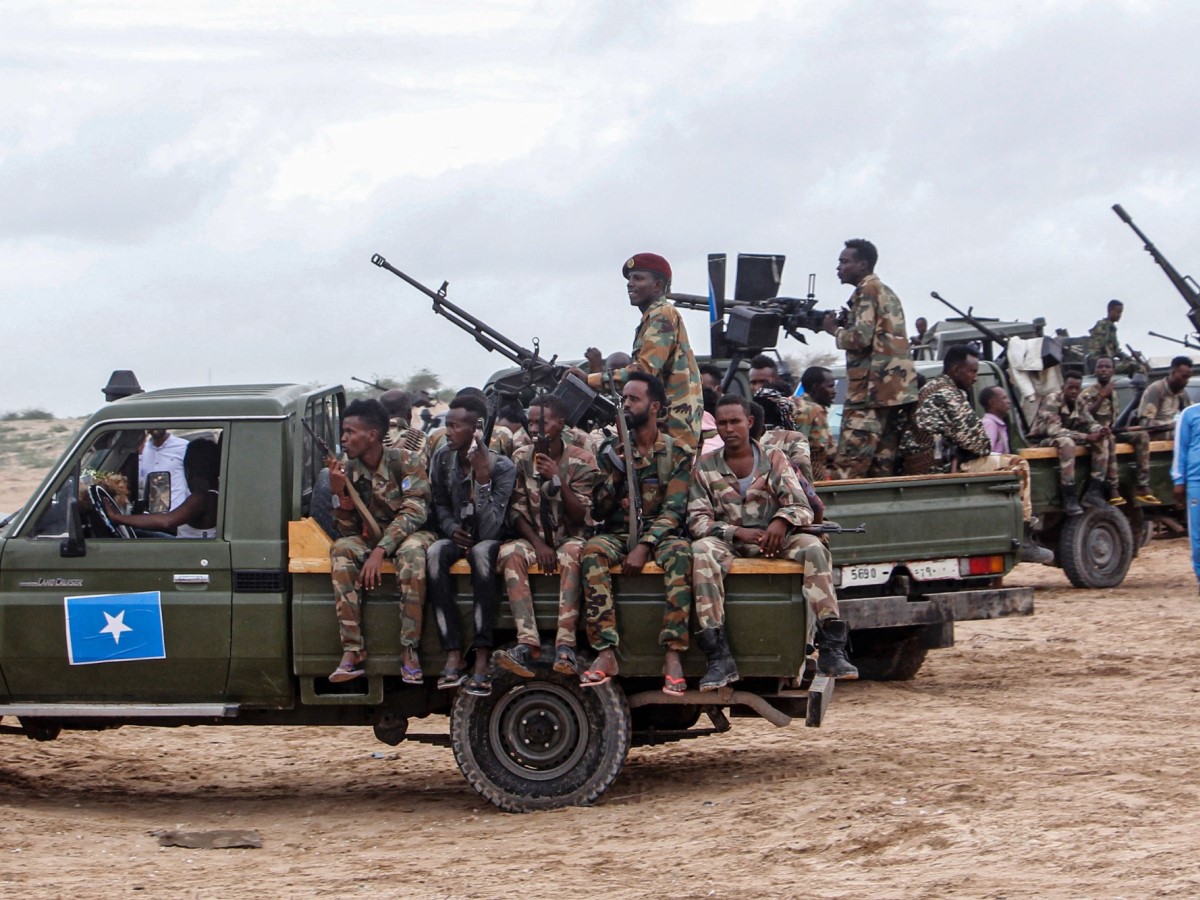 NISA Raid Kills 23 Al-Shabaab Members in Middle Shabelle