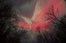 ABD semalarında görsel şölen: Görenler gözlerine inanamadı