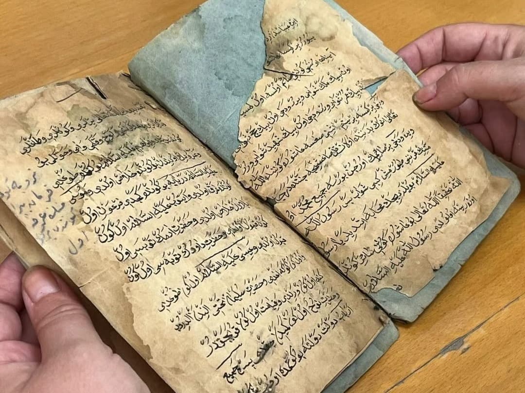 600 yıllık miras Ege'de koruma altında