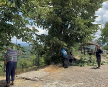 Hasat süresi sadece 10 gün sürüyor! Kilosu 3 bin TL'yi buldu