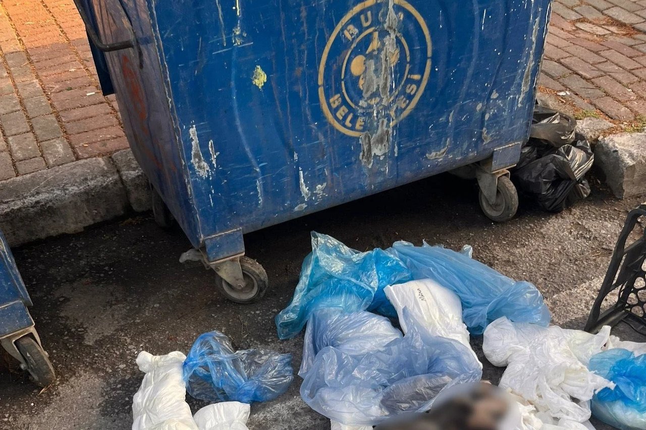 Buca'daki kedi ölümlerinde sır perdesi aralandı