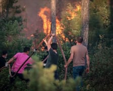 Vatandaşlar "Yeşil Vatan için biz de hazırız" mesajıyla CİMER'e başvurdu