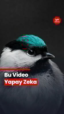 Grok Imagine'ın ulaştığı bu seviye, yapay zekanın sadece taklit etmekle kalmayıp gerçeği yeniden inşa ettiğini kanıtlıyor.