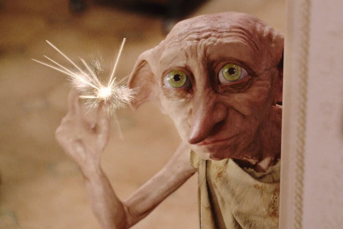 Dobby sevgisi projeyi iptal ettirdi