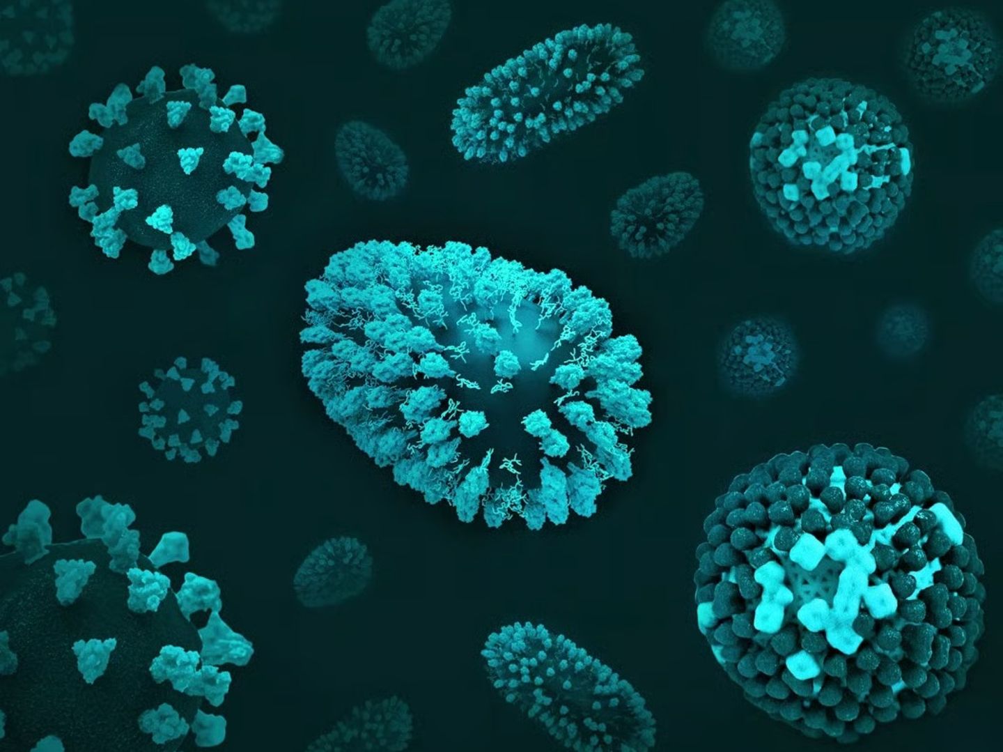 H3N2 virüsü nedir? Türkiye'de H3N2 virüsü var mı?