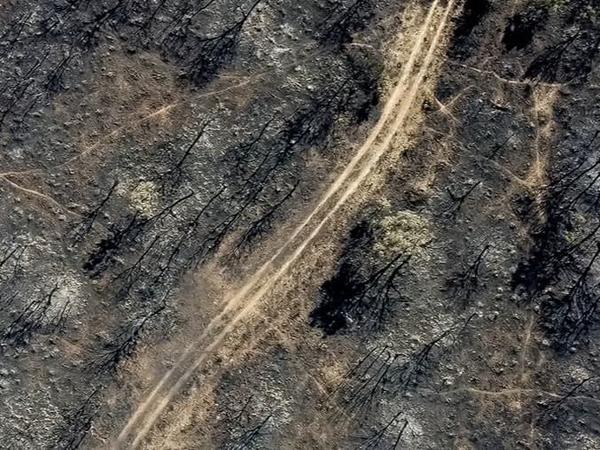 İspanya'da 407 bin hektar alan kül oldu