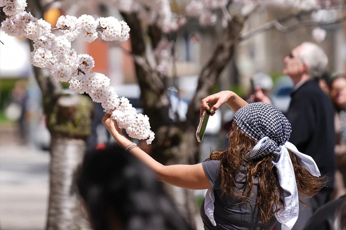Toronto'da Japon esintisi | Dört bir yanı sardılar...