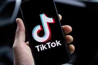TikTok'a erişim engeli talebi