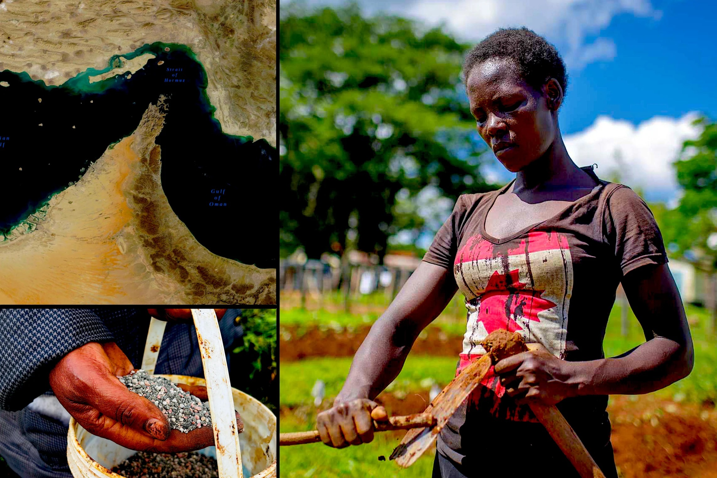 African Farmers in Shock amid Hormuz Fertilizer Crisis