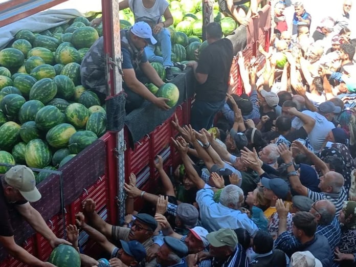26 ton karpuzu Tokat'ta 45 dakikada dağıttı