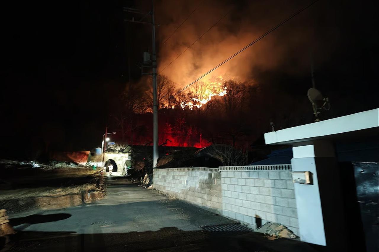 Güney Kore'de orman yangınları üçüncü gününe girdi