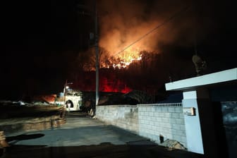 Güney Kore orman yangınlarıyla boğuşuyor!