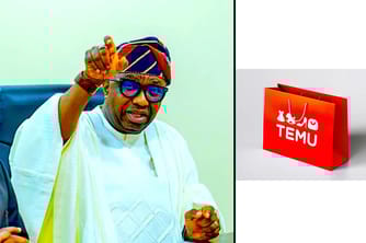 Nigeria Opens Data Privacy Probe Into Temu