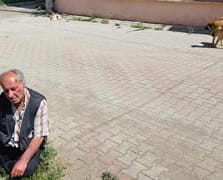 Başıboş köpeklerin saldırısına uğrayan yaşlı adam yaralandı