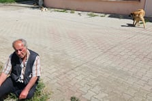 Başıboş köpeklerin saldırısına uğrayan yaşlı adam yaralandı