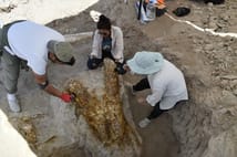 Kayseri'de 7,7 milyon yıllık üç fil kafatası bulundu