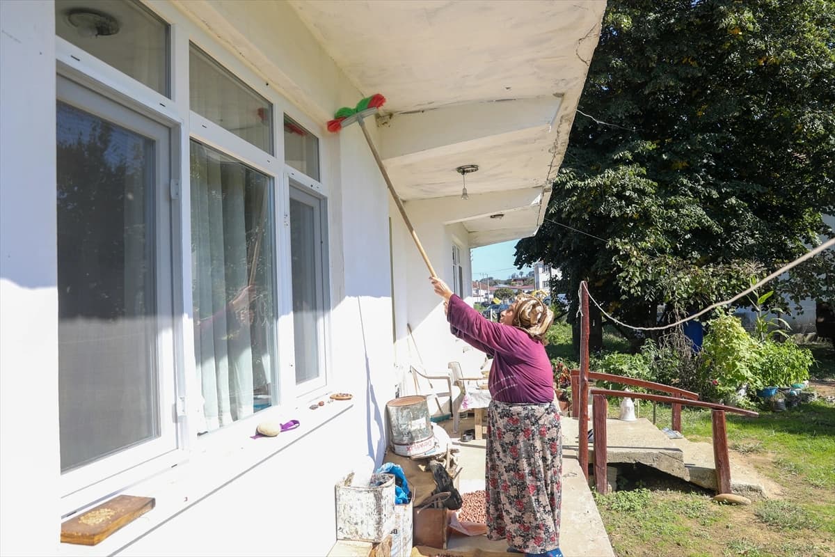 Sakarya'da kahverengi kokarca ile amansız mücadele sürüyor