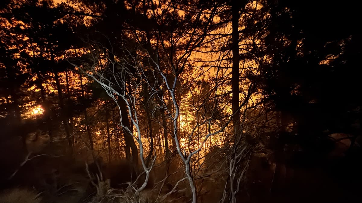 Sakarya'da ormanlık alanda çıkan yangına müdahale devam ediyor