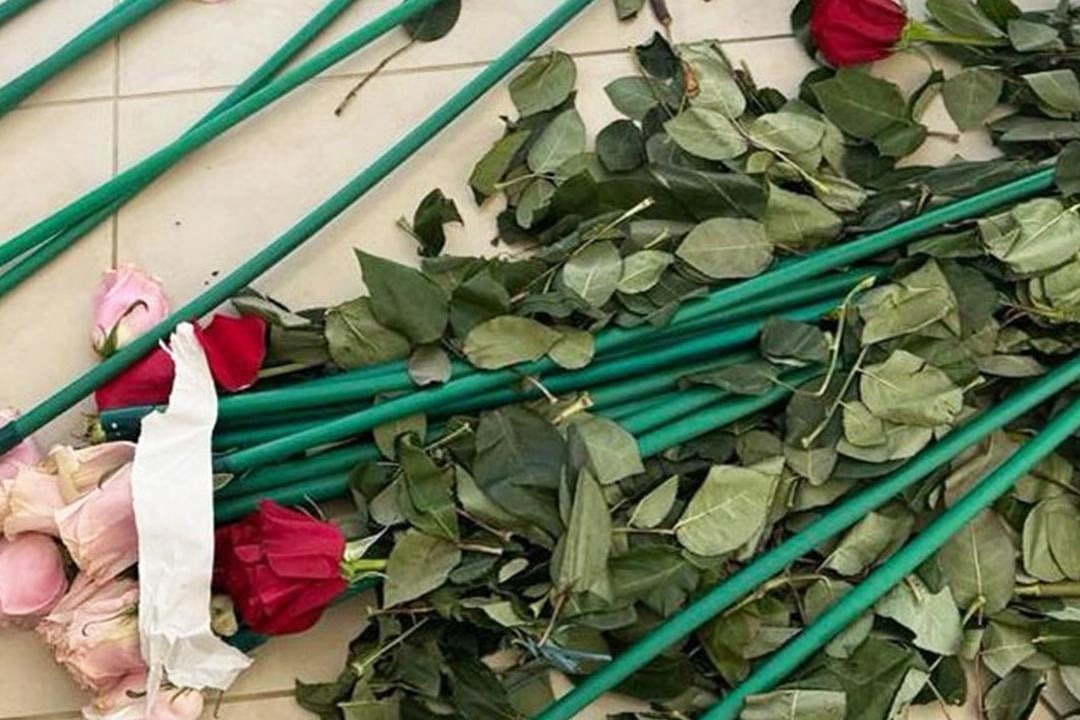 Kolombiya'dan Yunanistan'a güllerle uyuşturucu taşındı