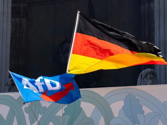 Over 1,000 German Legal Experts Urge Court to Ban AfD