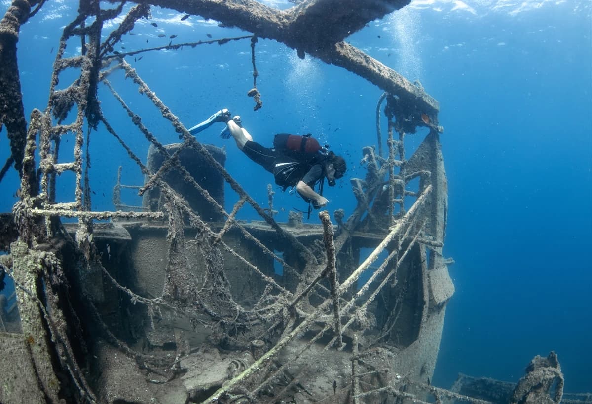 Çeşme su altı güzellikleriyle her seviye dalgıca hitap ediyor