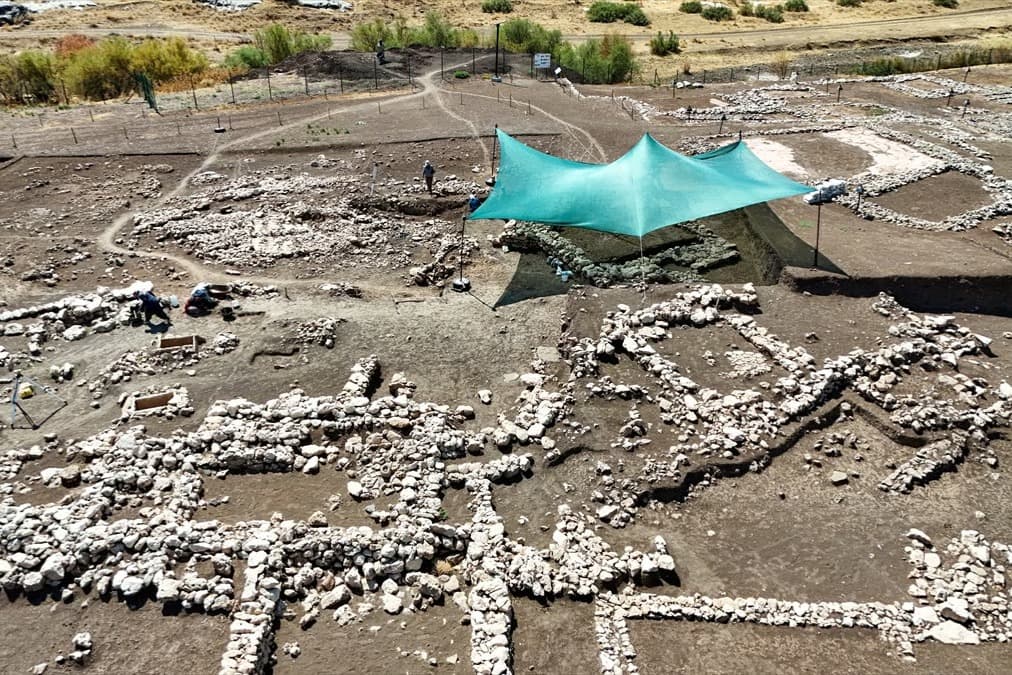 Diyarbakır'daki Çayönü Tepesi'nde 9500 yıllık kamusal yapı bulundu