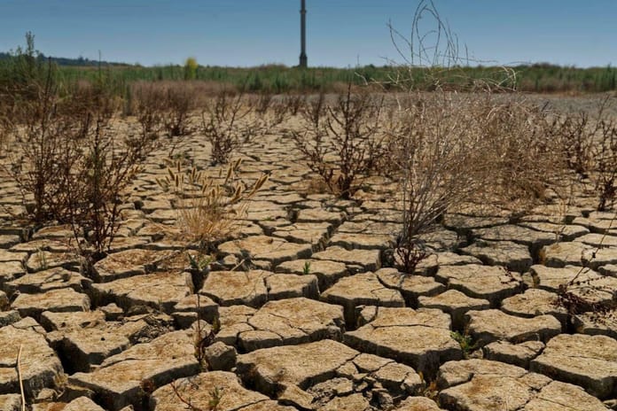 Yağışlara rağmen Türkiye'de kronik kuraklık sürüyor